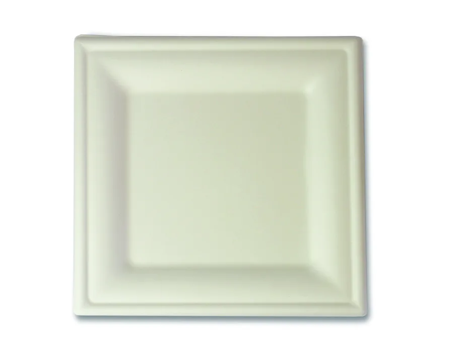 Einweg Teller aus Bagasse, weiss, 200 x 200 mm